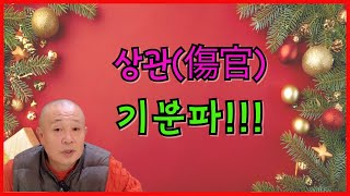 상관(傷官) 기분파!!!