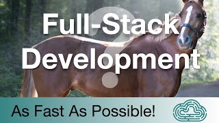 What is Full-Stack Development?