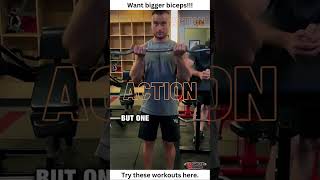 How to get bigger biceps #shorts #bicepsworkout  #biceps