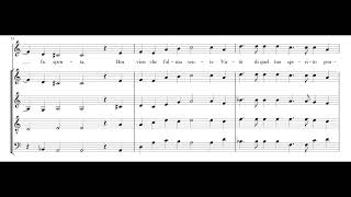 LUZZASCO LUZZASCHI: Aura soave di segreti accenti (Consort Arrangement) PDF SCORE