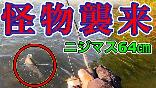 【モンスター】ドデカニジマスを釣る！北海道川釣り