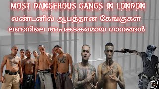 TOP 10 MOST DANGEROUS GANGS IN LONDON லண்டனில் ஆபத்தான கேங்குகள் ലണ്ടനിലെ ഏറ്റവും അപകടകരമായ ഗാനങ്ങൾ