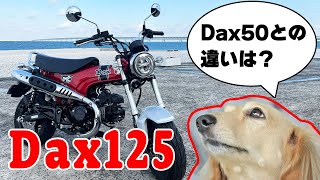 【バイク インプレ】Dax125を徹底リポート！Dax50からどこまで進化しているのか！？