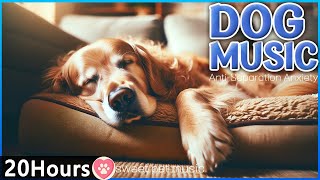 20 HOURS of Dog Calming Music For Dogs🎵Anxiety Relief Music💖🐶Soothing Music for sleeping dogs