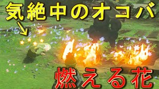 オコバが気絶してれば花を燃やせる説【ティアキン】If Ocoba is knocked out, maybe Link can burn the flowers?