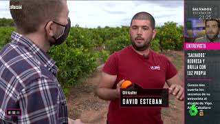 La naranja valenciana se queda en el campo frente a la competencia sudafricana, en 'La Roca'