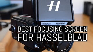 Best Focusing Screen for the Hasselblad V-System