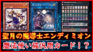 【遊戯王】魔法使い族汎用カード！？『聖月の魔導士エンディミオン』【MDPro3】