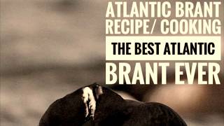 Atlantic Brant/ cooking the best Atlantic Brant