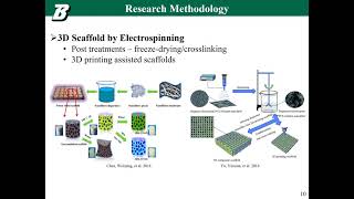 Electrospinning Biomimetic Scaffolds for Tissue Engineering - Dr. Yingge Zhou