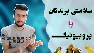 پروبیوتیک چیست و خواص آن برای سلامتی پرندگان زینتی