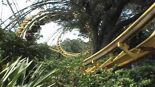 Python Arrow Corkscrew Roller Coaster POV Onride Busch Gardens Tampa Ron Toomer