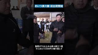 めいつ美々鯵 初出荷セレモニー（宮崎県日南市）　#news #日南