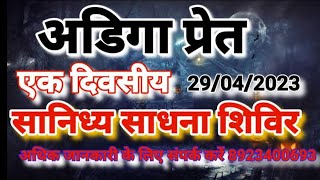 अडिगा प्रेत सानिध्य साधना शिविर / Adiga Pret Sanidhya Sadhana Shivir 8923400693