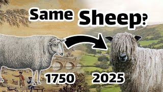 Do Pedigrees Work