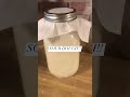 Fermented Oatmeal Reel