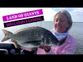 The Land of Giants - Hollands Landing