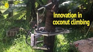 Kera Harvester: harvesting coconut through robotic tree climb