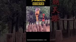 #kungfu  Shaolin 轻功#武术 #martialarts #china #shaolin #轻功。