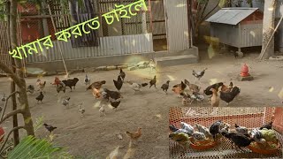 একটি আদর্শ ও আধুনিক দেশী মুরগির খামার | যাত্রা ৩টি মুরগি দিয়ে শুরু | desi murgi farm | Arif Agro BD