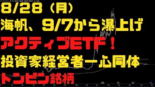 8/28（月）海帆【投資家経営者一心同体ETF】で瀑上げ期待！トンピン銘柄