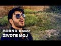 BORNO Davor - Živote moj (4K official video 2019) New