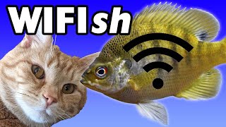 WIFIsh ESP8266 Alexa Controlled Cat Toy