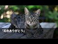 【感動する話】会社の１０周年記念パーティ会場に行くと私の席だけなかった→幹事の自称高学歴部長「中卒の低学歴の席はないから帰れw」私「わかりました」→７分後、私が社長の娘と知った部長がｗ【いい話・朗読】