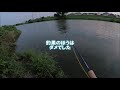 陸から試し振り amazonで1万円バス用フライロッド maxcatch bass tournament 7ft11 8wt.