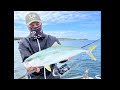 New Daiwa 23 Saltiga 6000H Screams - Vertical jigging at Botany Bay Sydney fishing