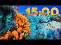 15 Minute 4K Aquarium Countdown with Relaxing Piano Music 🐠🎹