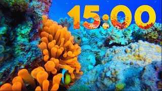 15 Minute 4K Aquarium Countdown with Relaxing Piano Music 🐠🎹