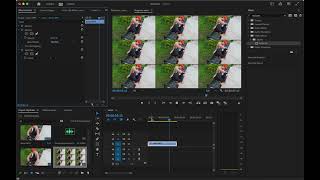 Replicate Effect in Premiere Pro