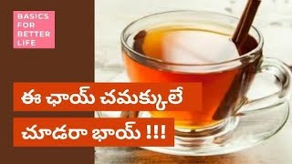 Tea-interesting facts|come,let's explore Ooty T factory|టీ గురించి తెలుసుకోండి.టీఫ్యాక్టరీ చూసొద్దాం