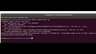 How to fix Selenium Error (Python) - Message: 'chromedriver' executable needs to be in PATH