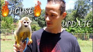 Baby Squirrel Monkey House FIRE and Garden Update 🔥