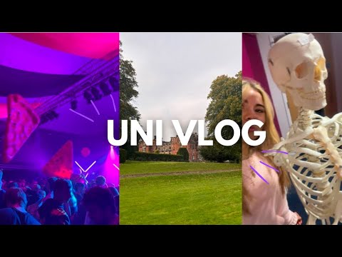 Uni Vlog Youtube