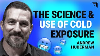 How Cold Improves Your Health & Performance | Cold Plunge | Andrew Huberman