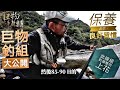 釣魚狂人4K 大漢溪最終回 渴水雙呎上花，釣法，線組大公開，攤牌了《字幕版》釣魚，還是要釣到魚才好玩，釣不到免談了，心得釣組大分享  Stream Fishing Taiwan