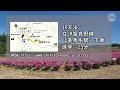 【日本旅行】天國般的後花園 北海道美瑛 四季彩之丘