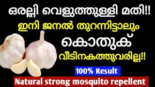 💯ഇത് പുകച്ചാൽ കൊതുക് പറമ്പിൽ പോലും വരില്ല | കൊതുക് ഇനി വീട് വിട്ടോടും | How to get rid of mosquitoes