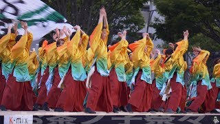 静岡大学 お茶ノ子祭々 17thあっぱれ富士 DC版