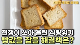 전쟁이 쏘아 올린 식량위기! 빵값을 잡을 해결책은? #shorts