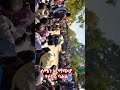 ሰሜን አርማጭሆ የፉከራ ባሕል short culture gondar ethiopia ኢትዮጵያ አማራ