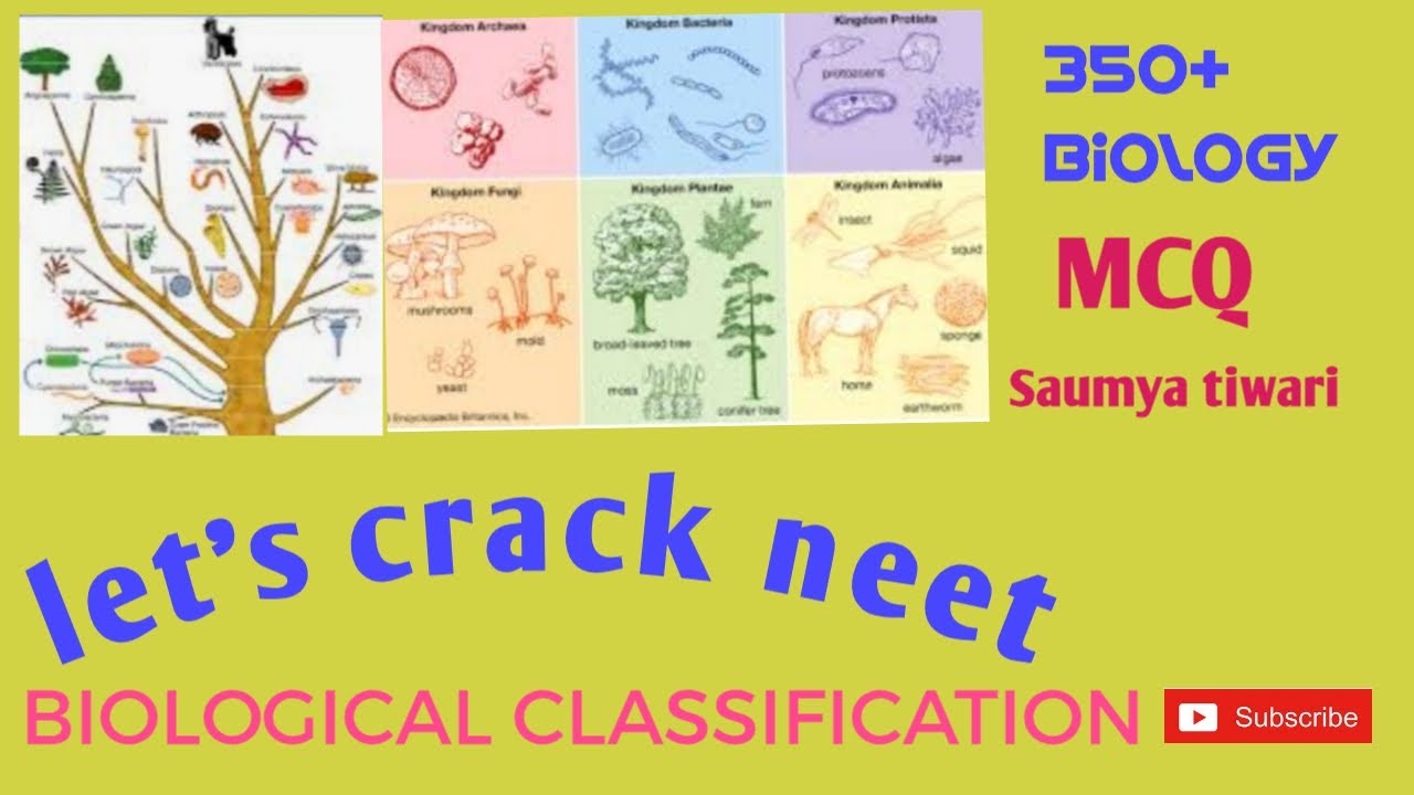 Biological Classification Mcq Neet Prep