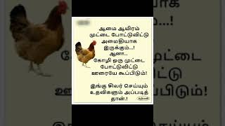 அப்படி தான். ‎@thaimadi8300 #trending #shortsfeed #entertainment #food #thaimadi #tamil #quotes