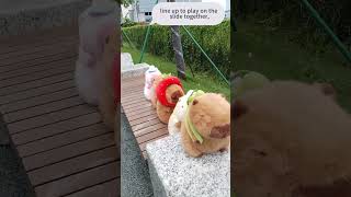 The Capybara Crew's Whimsical Adventures: From Slides to World - Roaming!  #capybara #cuteplush