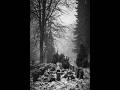 Subsurface Collapse V: The Quiet Below (Liver Failure Productions)