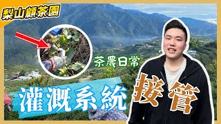 台灣高山茶｜溪谷的水源直接拉到茶園！春季不下雨？！先從DIY接水管開始｜茶、福壽山農場旁、新佳陽 、福壽山天池 、碧綠溪 烏龍茶 【 福壽順韻茶葉 梨山顧茶園】