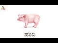 ಸಾಕು ಪ್ರಾಣಿಗಳು ಹೆಸರುಗಳು ಕನ್ನಡದಲ್ಲಿ domestic animals name in kannada